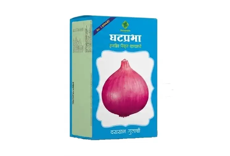 onion seeds