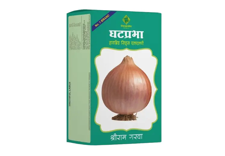 Hybrid Onion Seeds