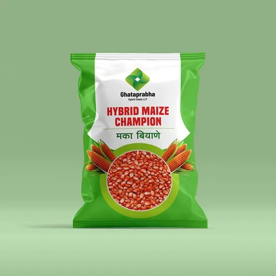 Maize