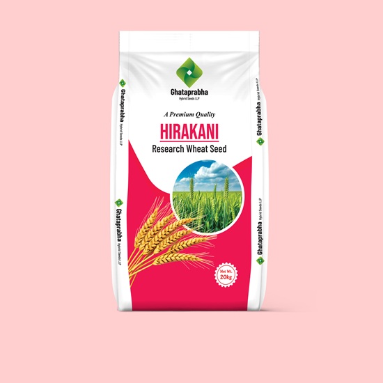 Research Wheat Seed
