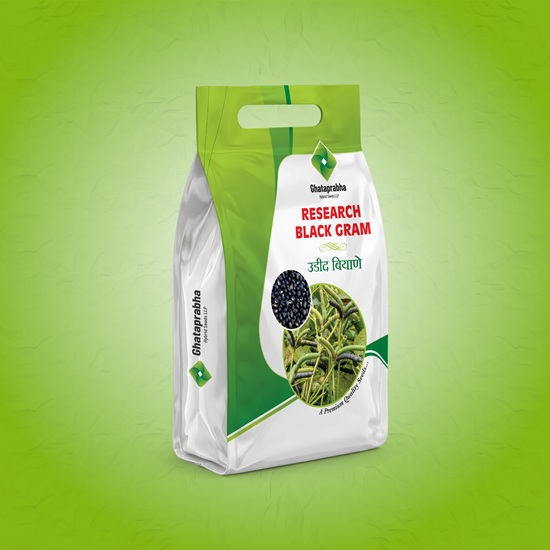 Hybrid urad seeds