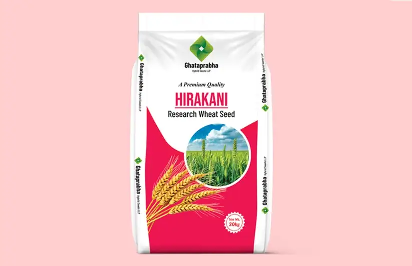 Wheat Seeds